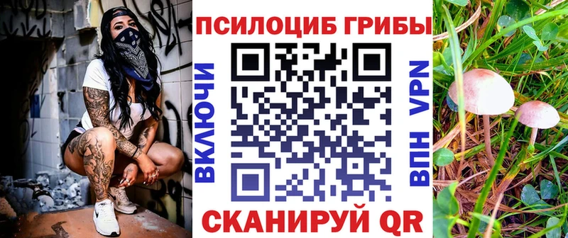 Псилоцибиновые грибы мухоморы  MEGA сайт  Нолинск 