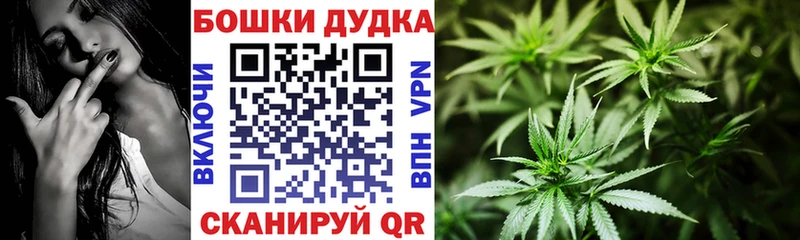 дарк нет Telegram  Нолинск  Канабис OG Kush  цены наркотик 